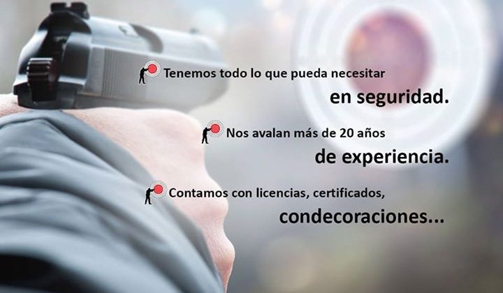 Algunos datos sobre V.I.P. Security